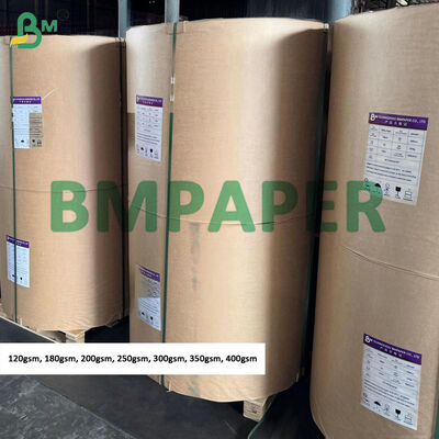 Giấy Kraft Trắng 250gsm 300gsm Cho Thẻ Treo Cuộn Lớn, Bề Mặt Thô