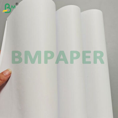 90gsm Cream Woodfree Book Paper Jumbo Rolls để in Offset