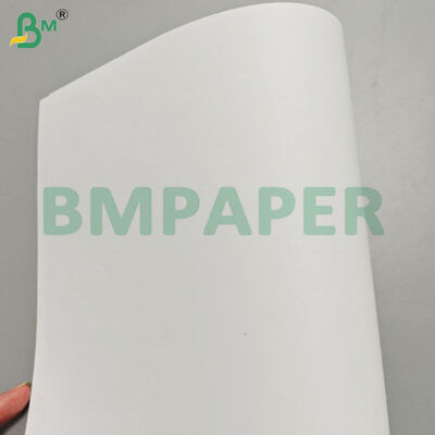 90gsm Cream Woodfree Book Paper Jumbo Rolls để in Offset