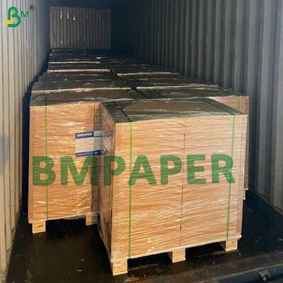 0.4mm - 2mm Absorbent Base Paper for Bottle Cap Seal Liners PE On One Side
