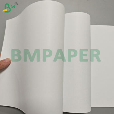 80/90gsm Woodfree Offset Printing Paper Jumbo Rolls for Books