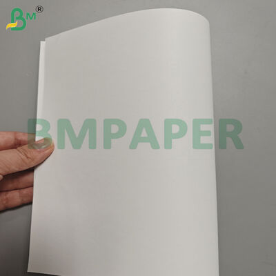 80/90gsm Woodfree Offset Printing Paper Jumbo Rolls for Books