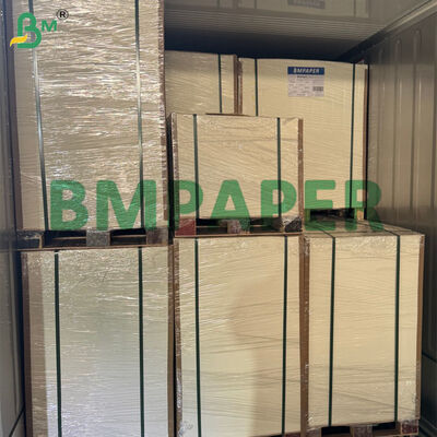 Cuộn giấy bã mía phân hủy sinh học 80g-300g để làm đĩa thức ăn