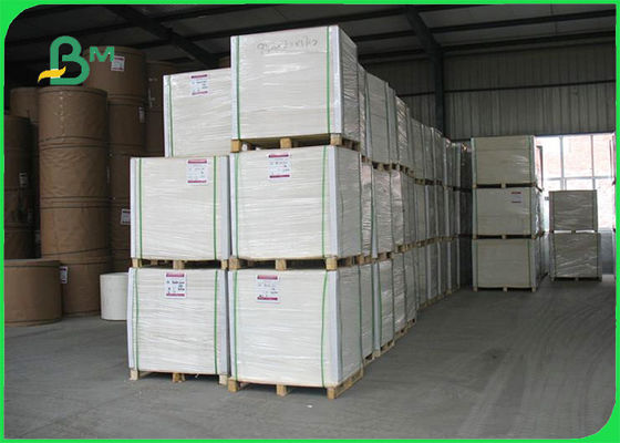 Độ cứng cao FSC chấp thuận 230 - 400g Giấy Ngà để in