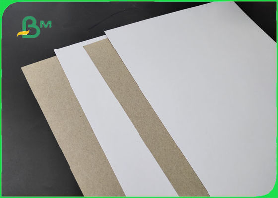 FSC 250/300 / 400gsm C1S Mặt sau màu xám bóng trắng