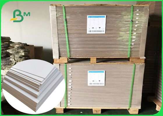Tấm bìa gấp 250GSM &amp; 350GSM Tấm FSC được chứng nhận Lớp AAA 787 * 1092MM