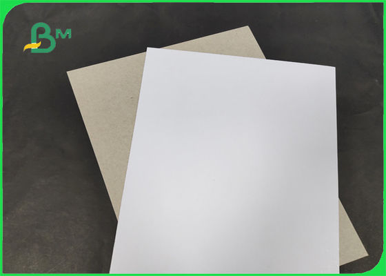 200 / 230gr C1S với mặt sau màu xám Lớp rộng AA 1250mm được chứng nhận bởi SGS &amp; FSC