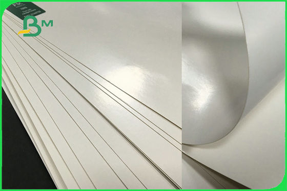 FSC FDA 300gsm Ngà Một mặt phủ trắng Bảng PE GC1 Giấy cho bát giấy