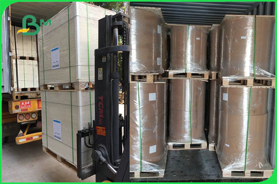 FSC FDA 300gsm Ngà Một mặt phủ trắng Bảng PE GC1 Giấy cho bát giấy