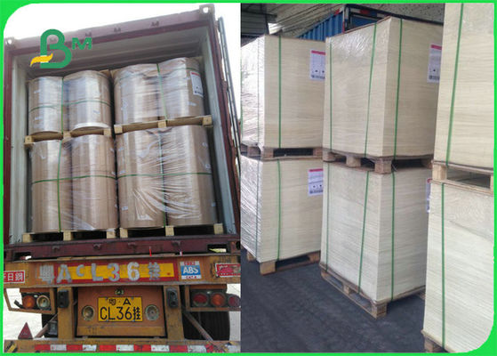 FDA FSC Chứng nhận thực phẩm Giấy nướng an toàn chịu nhiệt cho Grill Cooking BBQ