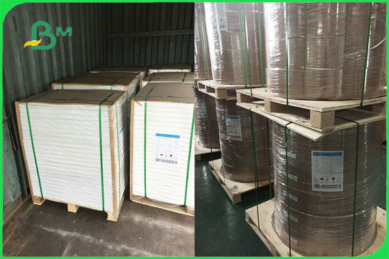 Giấy tráng PE một mặt tùy chỉnh cho các tấm dùng một lần FSC FDA chấp thuận