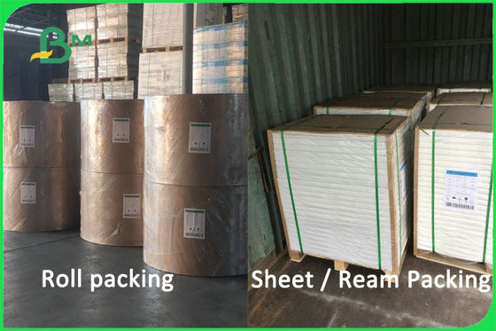 100% Bột giấy nguyên chất có thể phân hủy sinh học Chất liệu giấy 170 - 300gsm FDA FSC