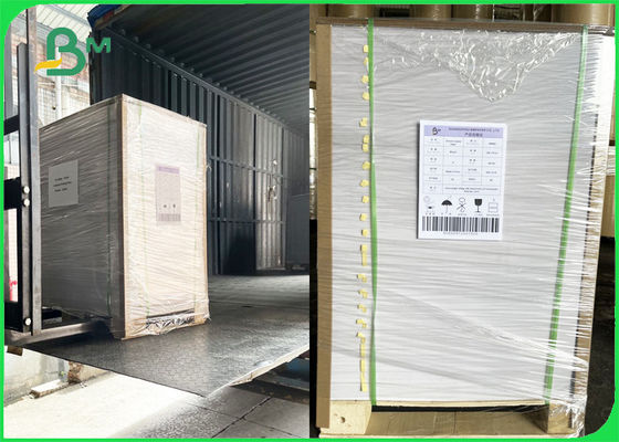 100% có thể phân hủy được 100% Bảng giấy thực phẩm tráng phủ trắng một mặt 325gsm