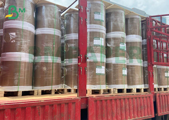 Một mặt Matt PE tráng Cupstock Giấy 300g + 20g Thanh chắn chất lỏng bền