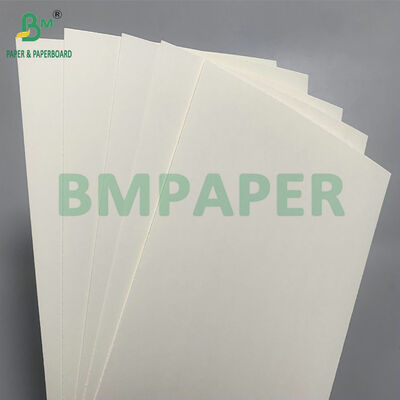 Bảng giấy an toàn phân hủy sinh học và vi sóng để làm chén dùng một lần cho salad