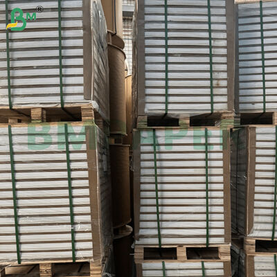 C2S hai mặt giấy bóng 787mm * 1092mm cho tạp chí