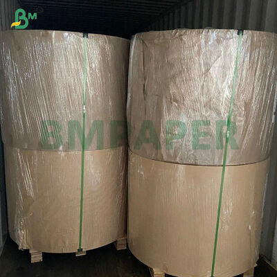 FDA Biodegradable Single Side Wax Coated Mango / Fruit Growth Paper