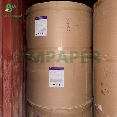 Cuộn giấy cấp thực phẩm tẩy trắng 33gsm 35gsm 38gsm không thấm mỡ để gói bánh mì