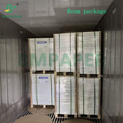 300g 350g An toàn thực phẩm Băng chống mỡ Cho khoai tây chiên