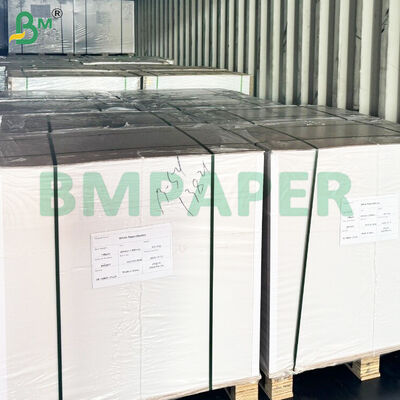 Hai mặt PE phủ vỏ đĩa thực phẩm Bảng giấy dự trữ chống rò rỉ