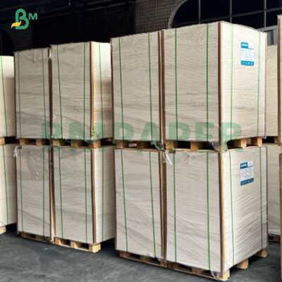 Giấy dán PE cứng cao cho miếng súp nóng dùng một lần có thể in