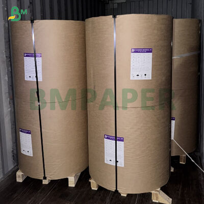 Virgin White Pulp Anti Oil Waterproof Silicone Coated Paper Để sử dụng nướng nướng