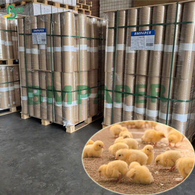 100% tái chế 43g Chick Breeding Paper Roll 63cm x 200m Đèn nhẹ