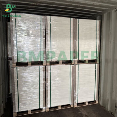 195g +15PE Chất chống mỡ giấy đĩa mì trắng trong 1000mm 1100mm cuộn