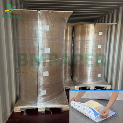30gm 40gm giấy tách tortilla màu trắng loại thực phẩm trong cuộn 35cm 47cm