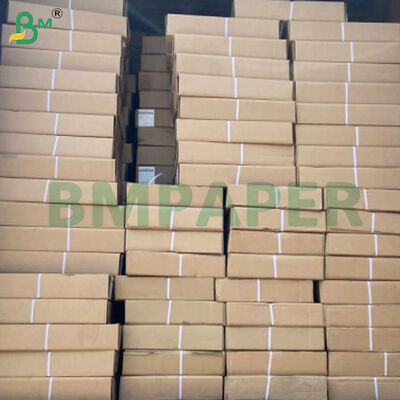 80gm hai mặt màu trắng CAD Plotter giấy cuộn để in