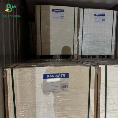 Giấy bìa vỉ một mặt bóng 350gsm dùng cho bao bì vỏ sò bàn chải đánh răng