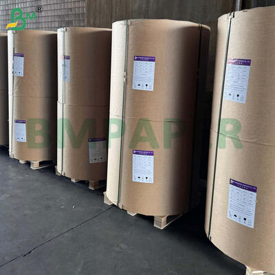 Giấy nướng hai mặt tráng silicon 42gsm
