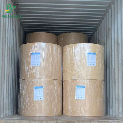 Cuộn Giấy Tráng Một Mặt Cấp Thực Phẩm Màu Trắng 210gsm + 15g PE Dùng Cho Cốc Cà Phê