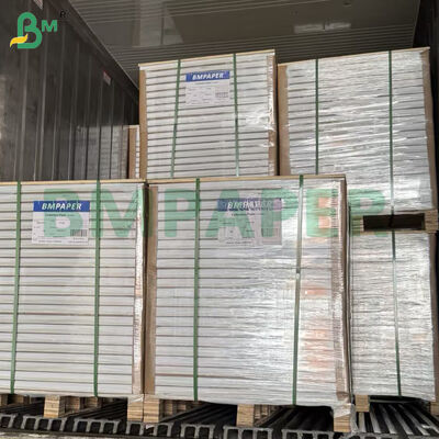 Giấy mỹ thuật hai mặt tráng phủ 300gsm khổ lớn in laser