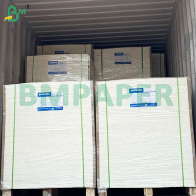 350gm+15gm PE phủ vỏ đĩa giấy lưu trữ cuộn cho thùng chứa thực phẩm