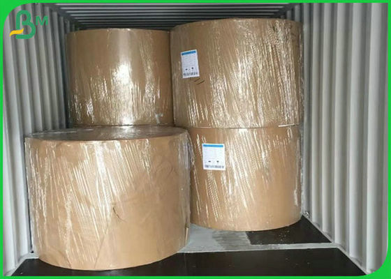 Vật liệu thân thiện với môi trường 300G PE tráng giấy để làm hộp ăn trưa